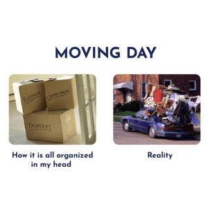 Read more about the article The DIY Move: and why we advise against it.